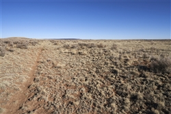 New Mexico, Torrance County, 0.83 Acre Estancia Ranchettes, Lot 20. TERMS $64/Month