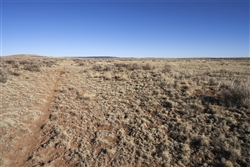 New Mexico, Torrance County, 0.83 Acre Estancia Ranchettes, Lot 22. TERMS $55/Month