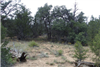 New Mexico, Cibola County, 5.00 Acres Garfield, Lot 7 Block 3. TERMS $299/Month