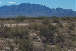 New Mexico, Luna County,  10 Acre Sundance Ranches Lot 30 Block 4. TERMS $197/Month