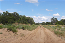 New Mexico, Cibola County, 2.50 Acres Pine Meadows, Lot 297 Unit 4. TERMS $156/Month