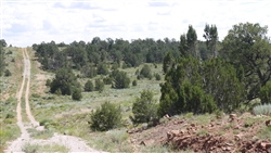 New Mexico, Cibola County, 2.53 Acres Pine Meadows, Lot 650 Unit 4. TERMS $0 Down $83/Month