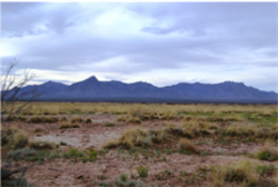 New Mexico, Luna County,  Sunshine Valley Ranchettes, 0.5 Acre Lot 8 Unit 21. TERMS $25/Month