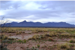 New Mexico, Luna County,  Sunshine Valley Ranchettes, 35 Acre  T27S R09W Sec. 12. TERMS $408/Month