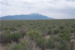 Nevada, Elko County, 10.00 Acres Charley Creek, SEC 1 TWP 39N RGE 68E Lot 9. TERMS $164/Month