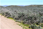 Nevada, Elko County, 2.06 Acres Last Chance Ranch, Lot 7 Unit 1 Block E, Electricity. TERMS $196/Month
