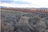 Nevada, Elko County, 4.77 Acres Last Chance Ranch, Unit 1, Block H, Lot 4 , Electricity. TERMS $359/Month