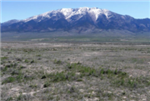 Nevada, Elko County, 60.02 Acres Mountain Meadow Ranches, Lot 1229. TERMS $585/Month