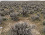Nevada, Elko County, 4.93 Acres Ruby View Ranchos,  Lot 3 Block 4 Unit 3, Electricity. TERMS $232/Month