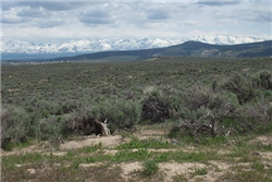 Nevada, Elko County, 2.06 Acres Twin River Ranchos, Lot 01 Block 30. TERMS $64/Month