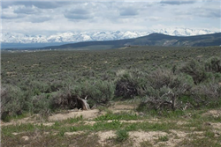 Nevada, Elko County, 2.27 Acres Twin River Ranchos, Lot 02 Block 30. TERMS $65/Month