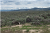 Nevada, Elko County, 1.45 Acres Twin River Ranchos, Lot 01 Unit 2 Block 5. TERMS $57/Month