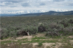 Nevada, Elko County, 4.3 Acres Twin River Ranchos, Lot 06 AND Lot 08 (Unit 3 Block 20). 10% DISCOUNT BUNDLE. TERMS $141/Month