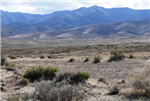 Nevada, Pershing County, 40.00 Acres Buffalo Springs, Lot 06 Section 29. TERMS $244/Month