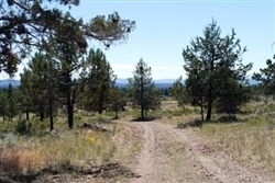 Klamath Falls Forest Estates Land, Klamath County, OR