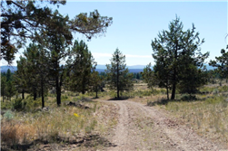 Oregon, Klamath  County, 5.67 Acres Klamath Falls Forest Estates Lot 9 Block 96 POND. TERMS $500/Month