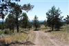 Oregon, Klamath  County, 2.44 Acres Klamath Falls Forest Estates Lot 11 Block 31. TERMS $247/Month