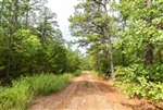 Oklahoma, Latimer  County, 16.01 Acre Stone Bridge V, Lot 325. with CREEK. TERMS $414/Month