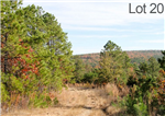 Oklahoma, Latimer  County, 19.14 Acre Stone Creek Ranch, Lot 20, Creek. TERMS $340/Month