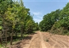 Oklahoma, McIntosh County, 3.07 Acre Timber Ridge, Lot 37. TERMS $264/Month