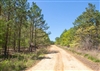 Oklahoma, Pushmataha County, 7.51 Acre Eagles Nest Ranch, Lot 12, Creek. TERMS $304/Month