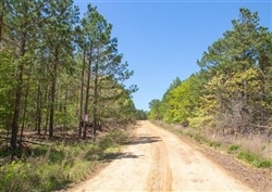 Eagles Nest Subdivision, Near Clayton, OK, Near Sardis Lake, In Pushmataha County, OK, Road into Subdivision