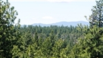 Oregon, Klamath  County,  1.58 Acres Klamath Falls Forest Lot 20.  TERMS $216/Month