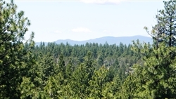 Oregon, Klamath  County,  1.73 Acres Klamath Falls Forest Lot 21.  TERMS $175/Month