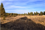 Oregon, Klamath  County,  0.07 Acres Town of Sprague River  Lot 20 Block 6, Electricity.  TERMS $42/Month