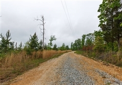 Tennessee, Benton County, 8.58 Acres Red Barn Ranch, Lot 18, Stream. TERMS $429/Month