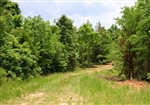 Tennessee, Carroll County, 8.14 Acre Bluebird Ranch. TERMS $240/Month
