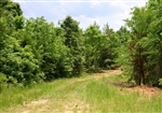 Tennessee, Carroll County, 8.92 Acre Bluebird Ranch. TERMS $240/Month