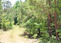 Tennessee, Decatur County, 6 Acre Hickory Hill Ranch, Creek, CLEARANCE! TERMS $213/Month