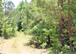 Tennessee, Decatur County, 5.8 Acre Hickory Hill Ranch, Electricity. TERMS $245/Month