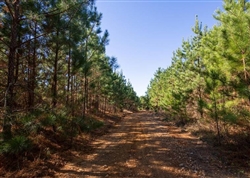 Tennessee, Decatur County, 4.45 Acre Pine Ridge, Lot 6. TERMS $275/Month