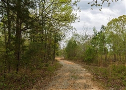 Tennessee, Henderson County, 5.00 Acres  Twin Rivers, Lot 18, Stream. TERMS $314/Month