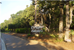 Texas, Henderson County, 0.20 Acres Cedar Creek Reservoir, Carolyn Estates, Lot 234 Electricity. TERMS $215/Month