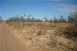 Texas, Hardeman County, 0.16 Acre Chillicothe Town, Lot 2 Block 167.  TERMS $31/Month