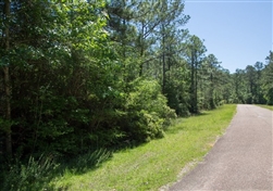 Texas, Jasper County, 0.50 Acre, Rayburn Country, Lot 242, Electricity. TERMS $125/Month