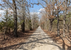 Texas, Red River County, 4.99 Acre Wishing Star Ranch, Lot 9 Electricity. TERMS $607/Month