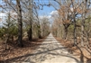Texas, Red River County, 5.58 Acre Wishing Star Ranch, Lot 82 Pond, Electricity. TERMS $733/Month