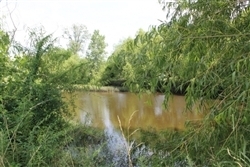 Texas, Red River County, 9.42 Acre McCoy Creek. TERMS $300/Month