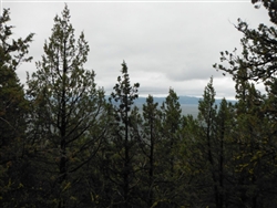 California, Lassen County,  21 Acres Moon Valley Ranch. TERMS $195/Month