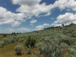 California, Lassen County,  20 Acres Moon Valley Ranch. TERMS $220/Month