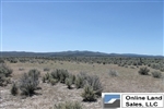 California, Lassen County,  40 Acres Ravendale Ranch. TERMS $499/Month