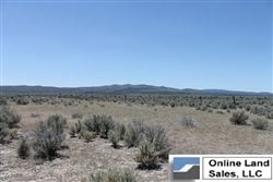 California, Lassen County,  40 Acres Ravendale Ranch. TERMS $499/Month