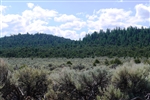 Colorado, Costilla County, 36.70 Acres Wild Horse Mesa Lot 75. TERMS $564/Month