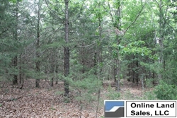 Missouri, Phelps County,  6.18  Acres Cedar Ridge Ranch. TERMS $225/Month