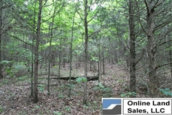 Missouri, Phelps County,  10.19  Acres Cedar Ridge Ranch. TERMS $210/Month