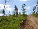 Missouri, Shannon County, 20.35 Acres Antler Ridge. TERMS $250/Month